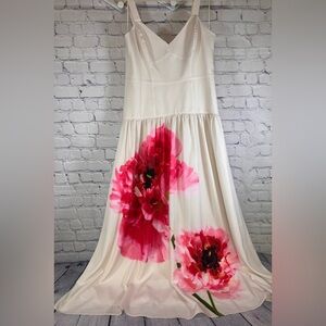 Express Floral V-Neck Corset Garden Party Cottagecore Chic Midi Sun Dress 6